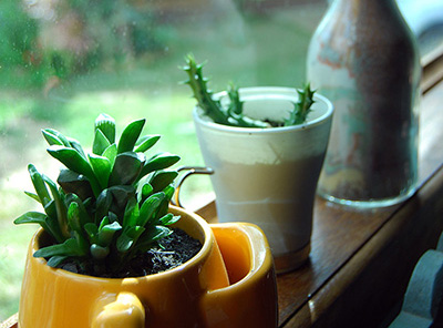 Decoraçãa Suíte Beija Flor