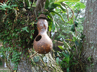 Decoração da Pousada